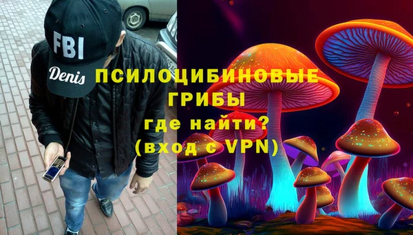 сатива Бронницы
