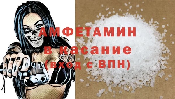 сатива Бронницы