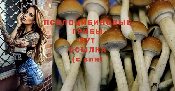 сатива Бронницы