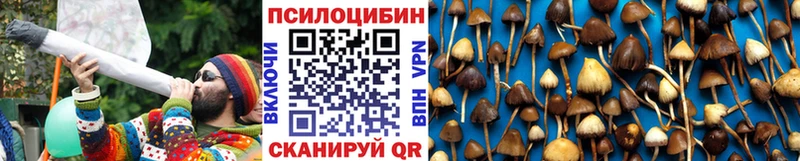 Псилоцибиновые грибы MAGIC MUSHROOMS Чишмы